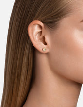 Load image into Gallery viewer, Rey Studs, 14k Gold Pavé