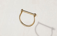 Load image into Gallery viewer, The Fortuna Necklace

